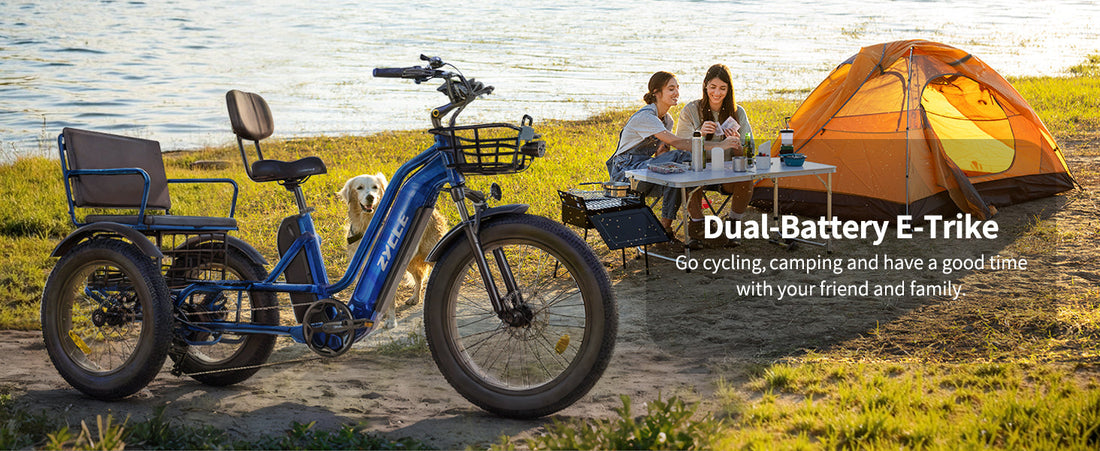 Electric Tricycle for 2 Adults